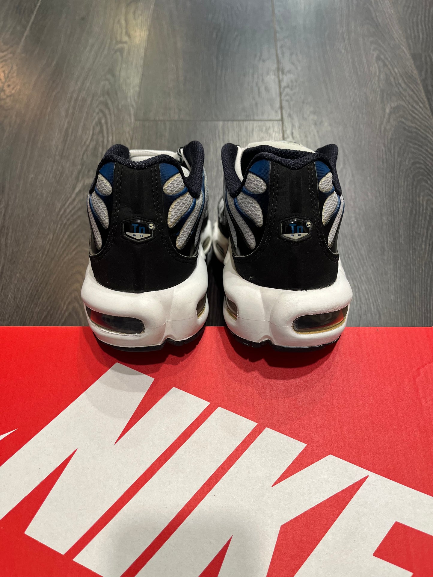 Nike Air Max Plus Teal White