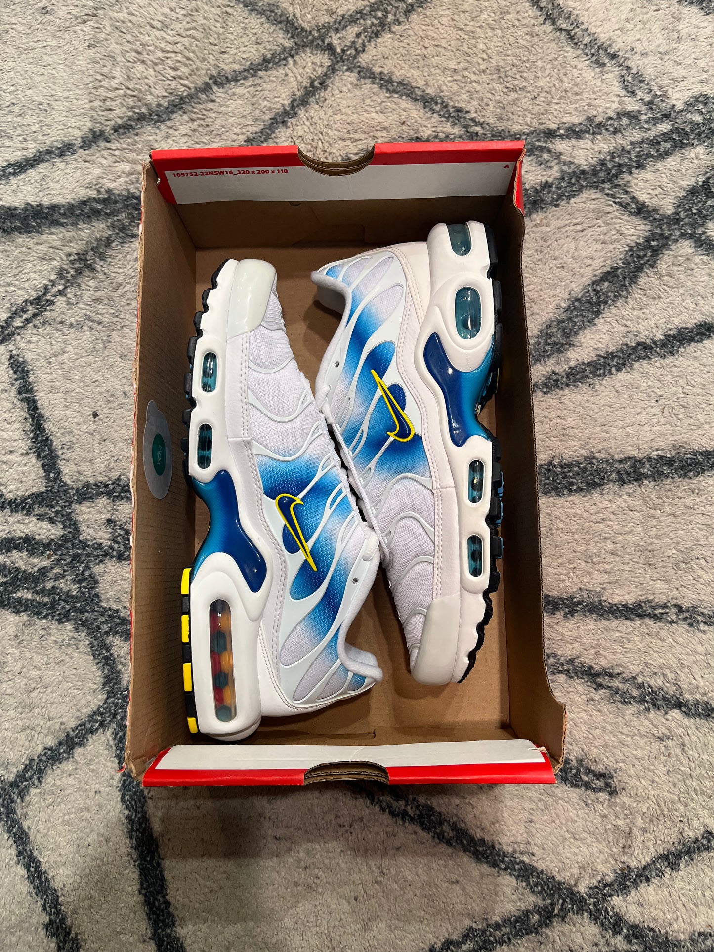 Nike Air Max Plus Spray Paint