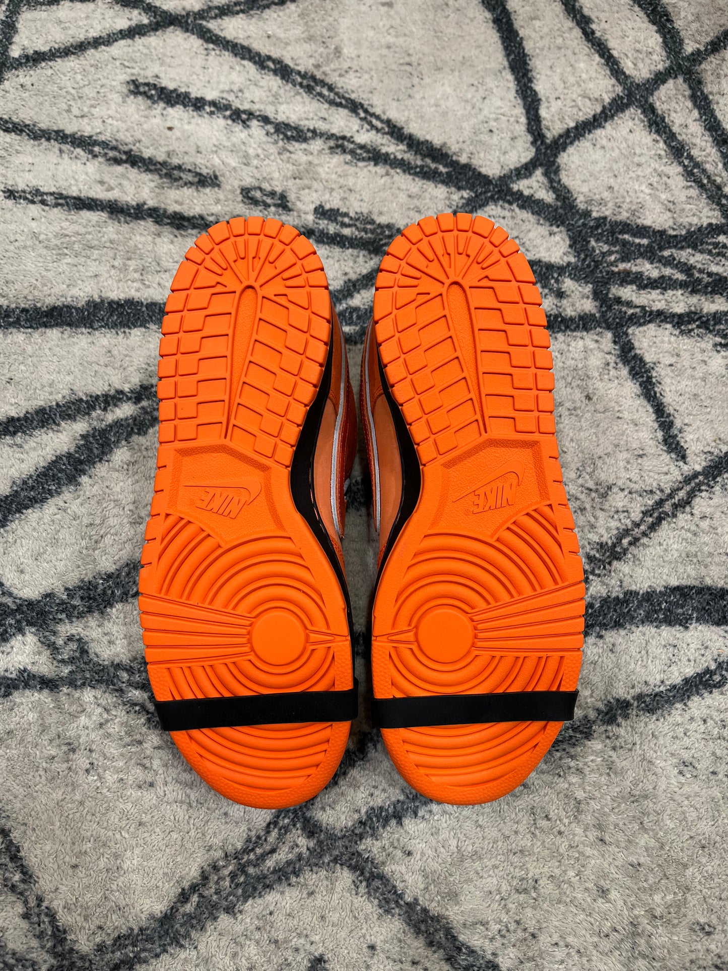 Nike Dunk Sb Lobster Orange Frost