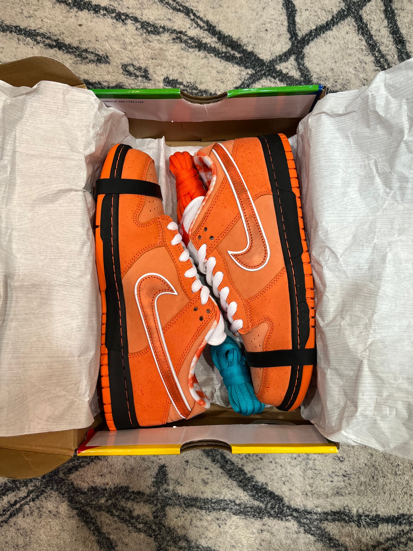Nike Dunk Sb Lobster Orange Frost
