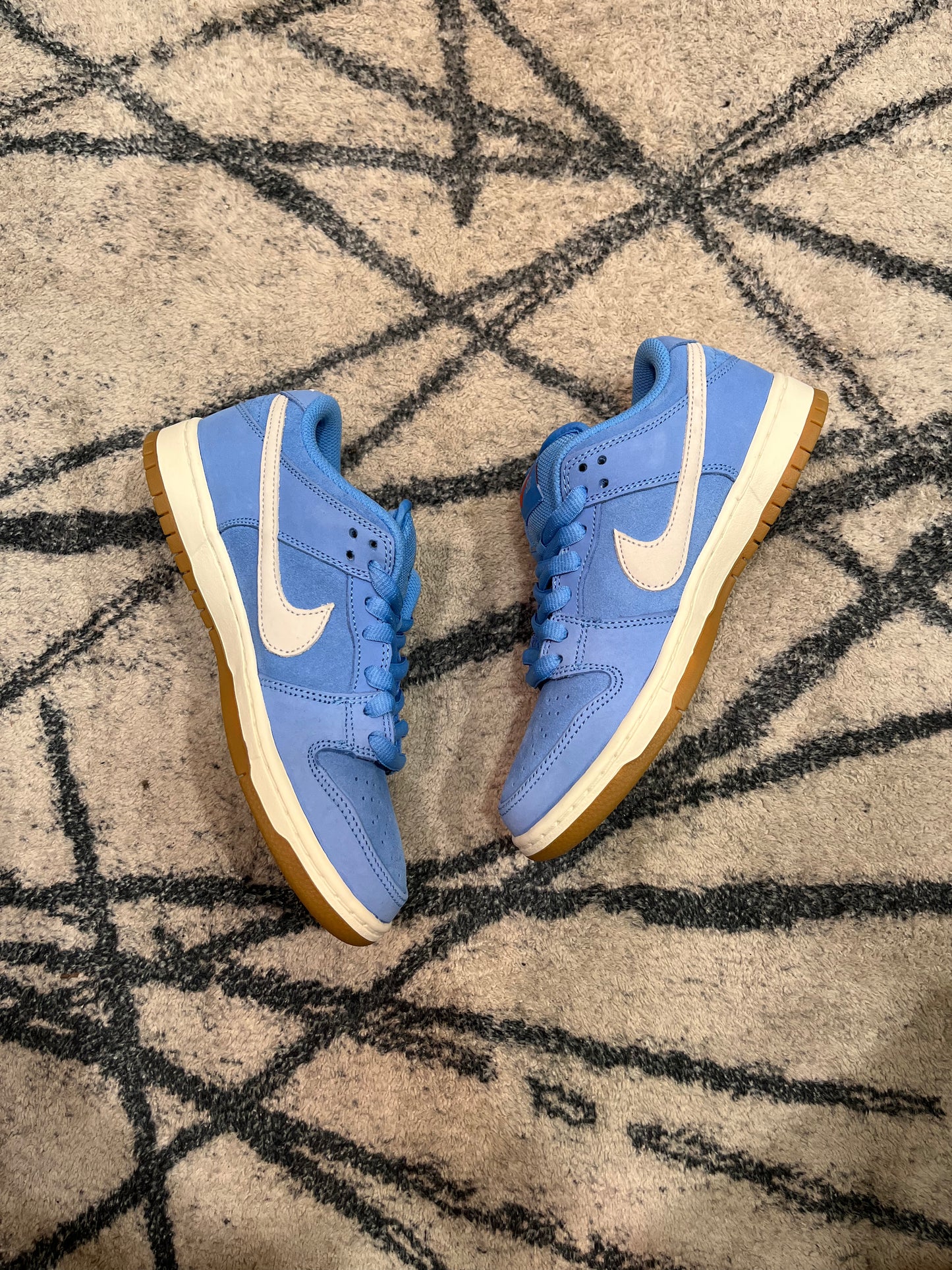 Nike Dunk SB Blue