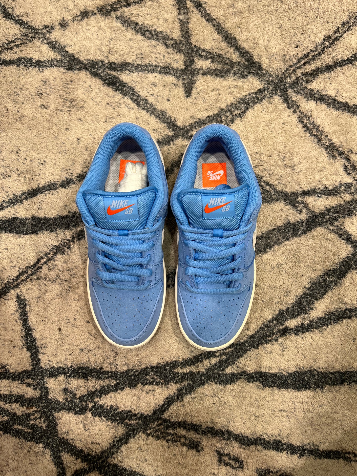 Nike Dunk SB Blue