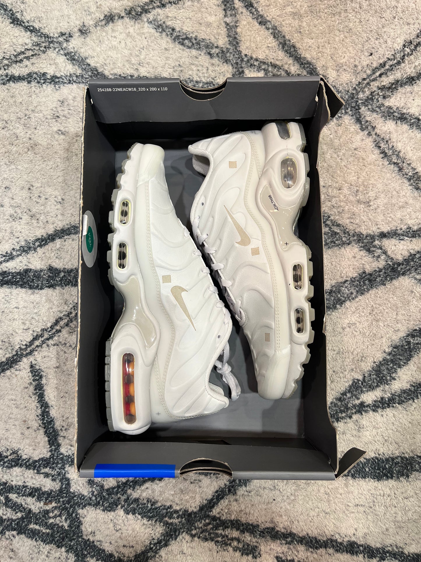Nike Air Max Plus ACW