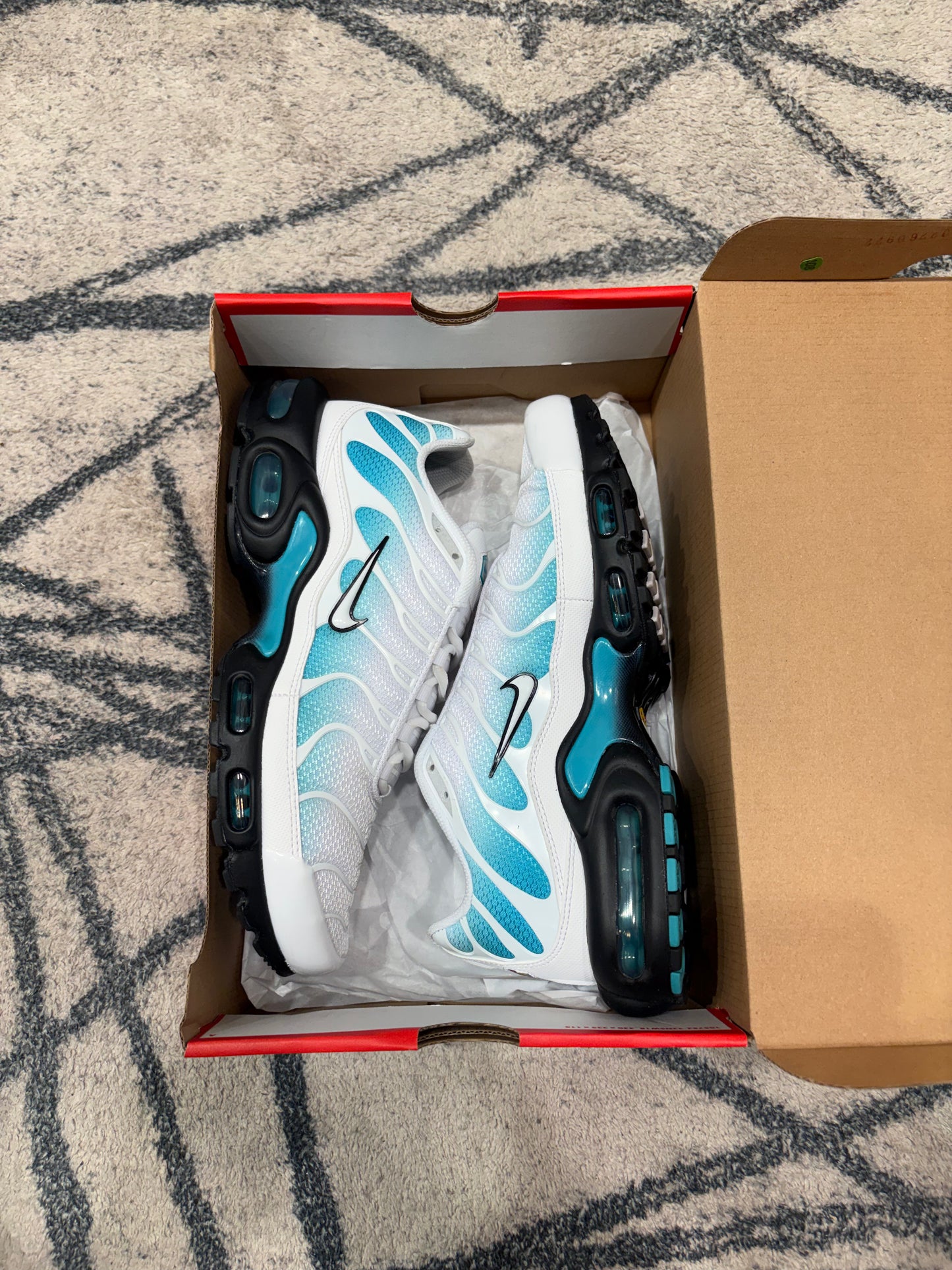 Nike Air Max Plus Dusty Cactus White