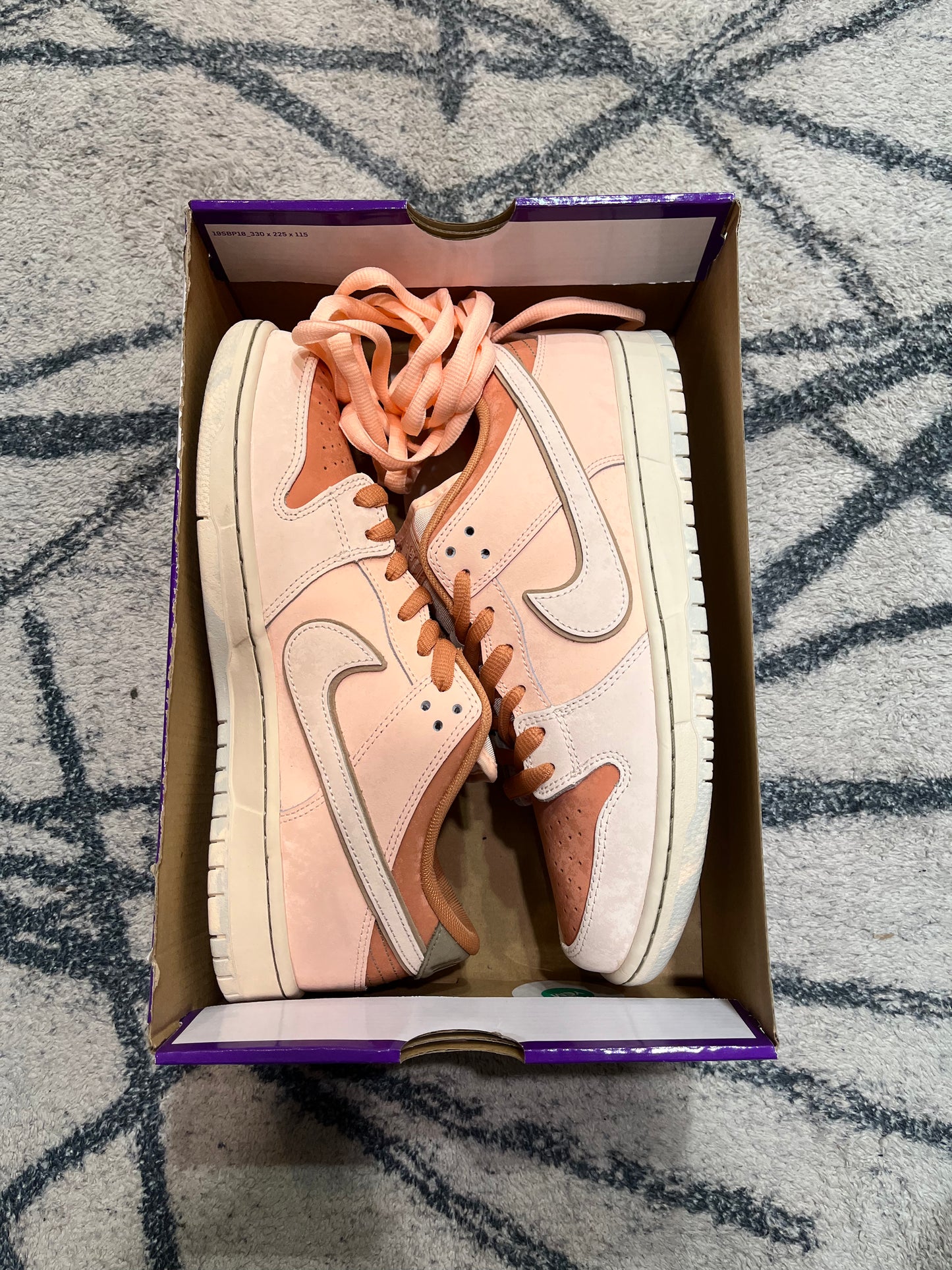 Nike Dunk SB Trocadero