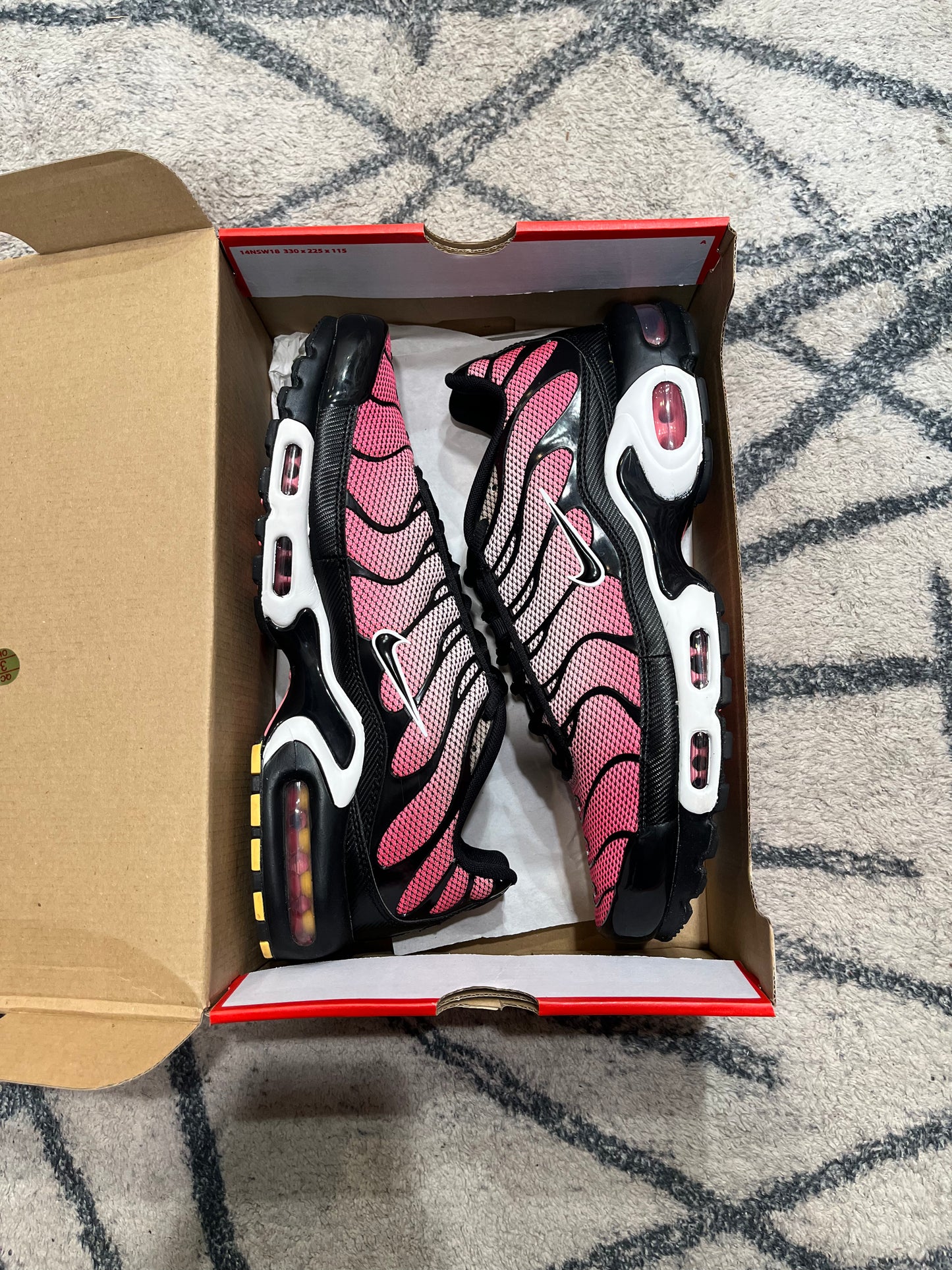 Nike Air Max Plus All Day