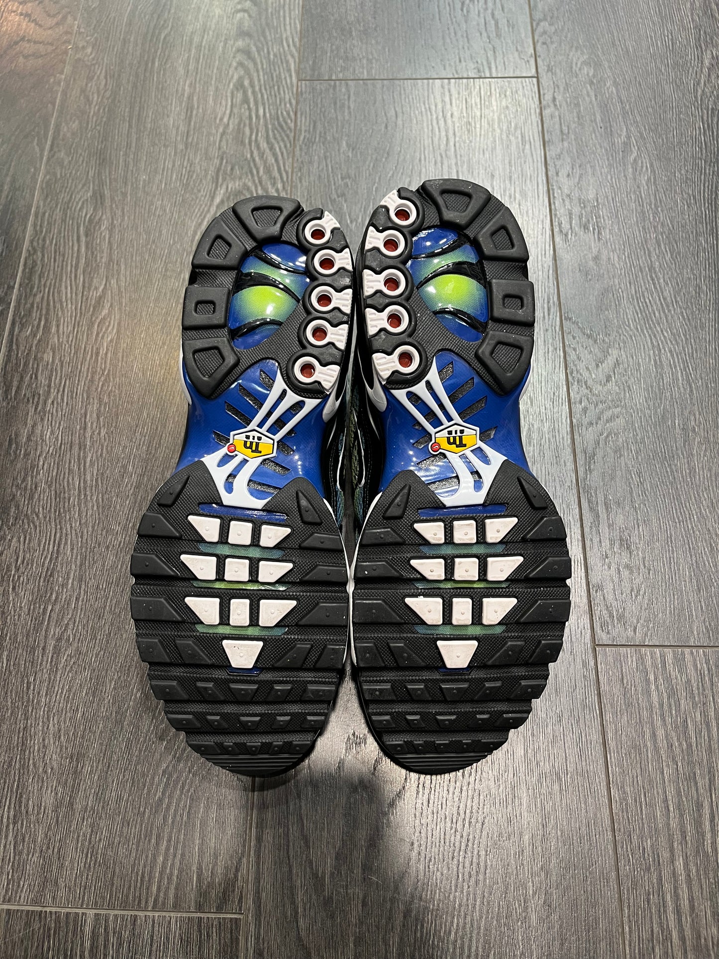Nike Air Max Plus Blue Metallic Silver