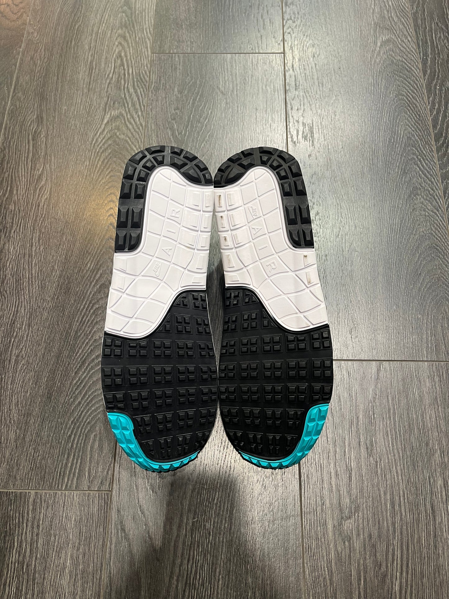 Nike Air Max 1 Aqua Golf