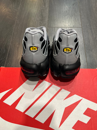 Nike Air Max Plus Wolf Grey
