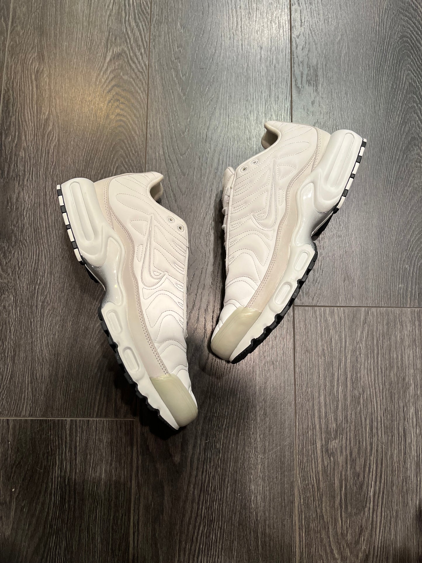 Nike Air Max Plus Platinum Tint