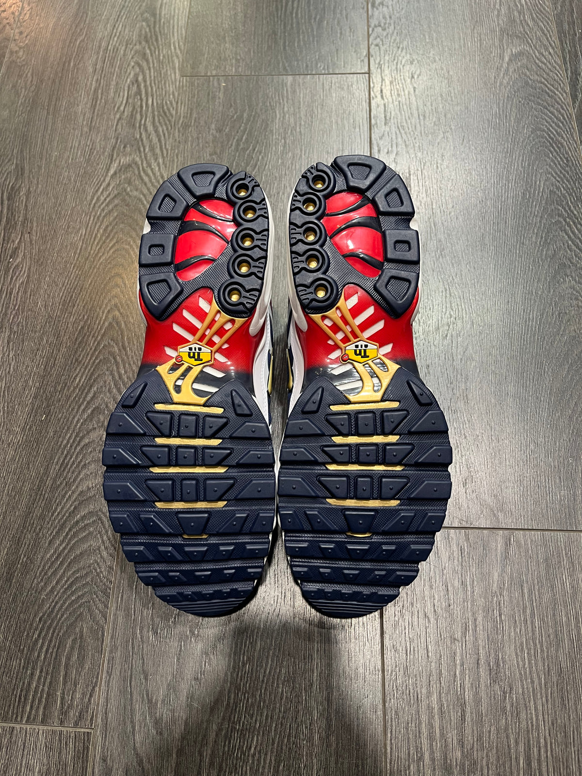 Nike Air Max Plus PSG