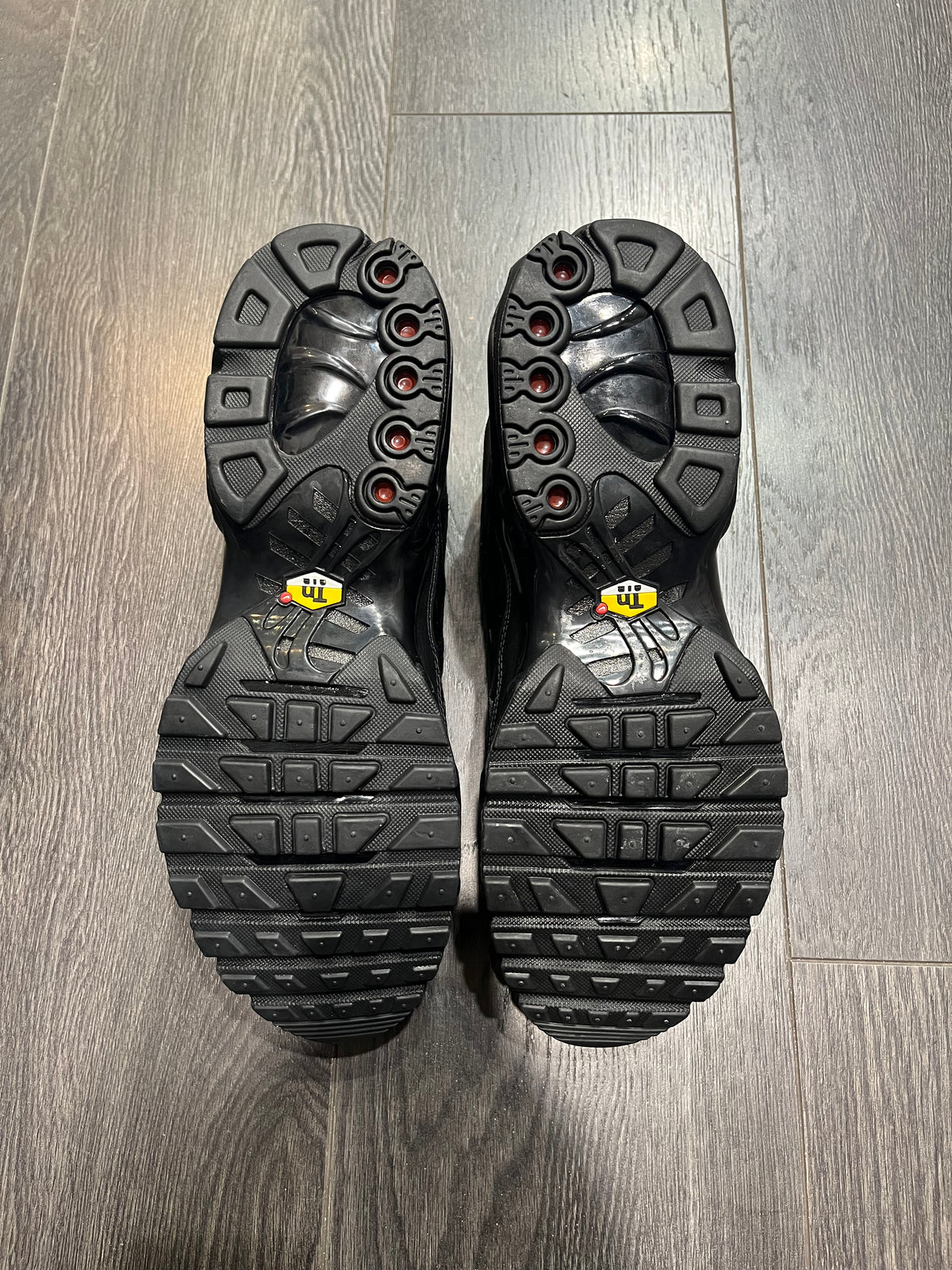 Nike Air Max Plus Cuir Triple Black