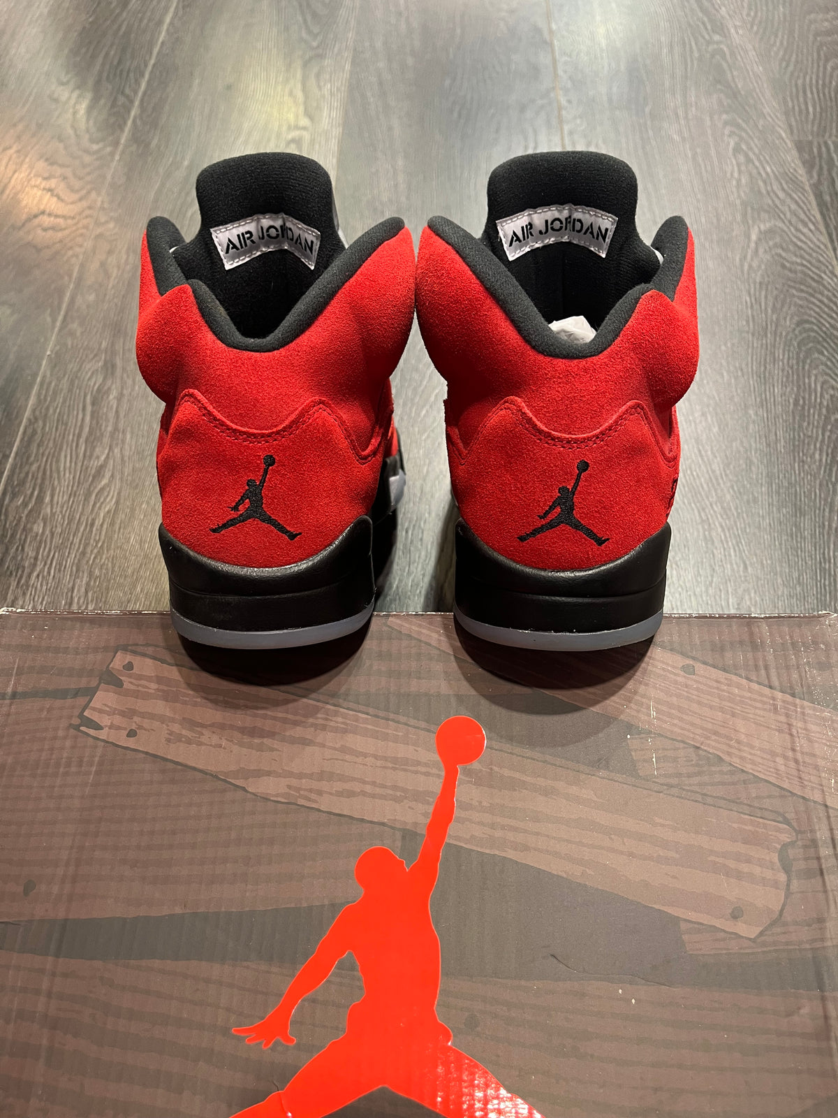 Air Jordan 5 Raging Bull