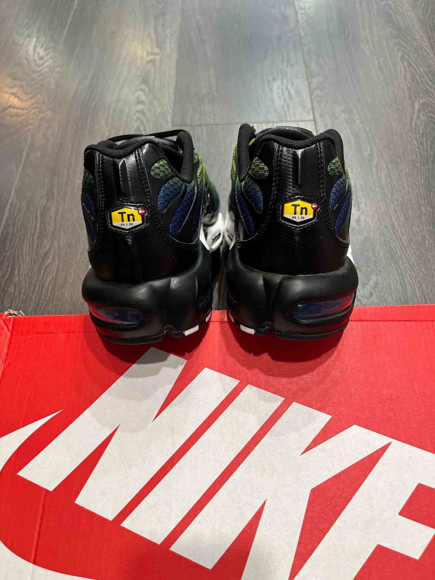 Nike Air Max Plus Blue Metallic Silver