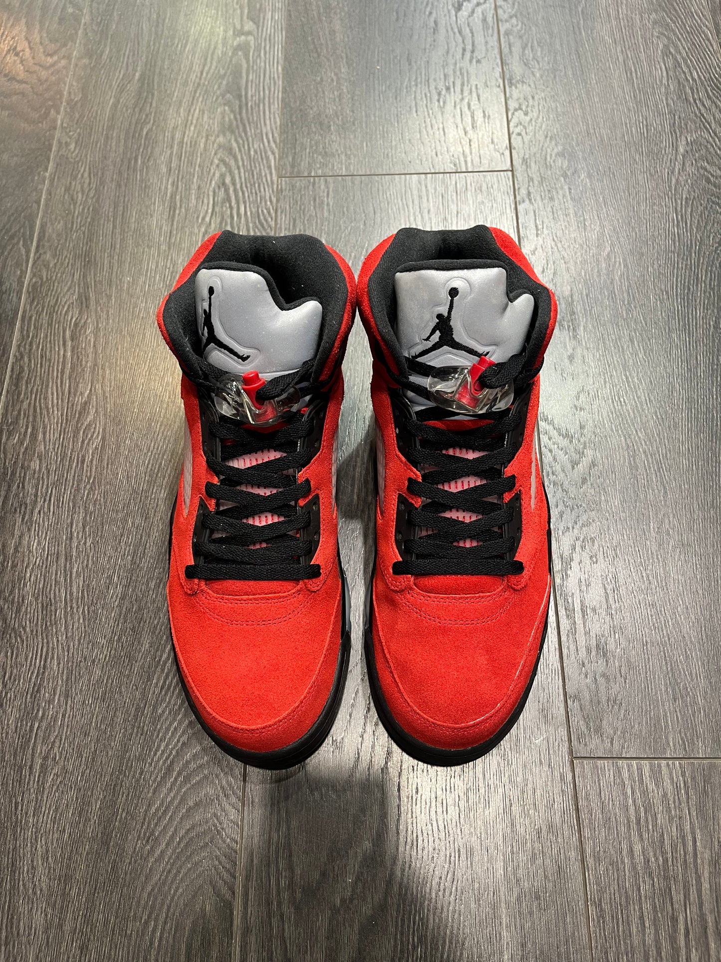 Air Jordan 5 Raging Bull