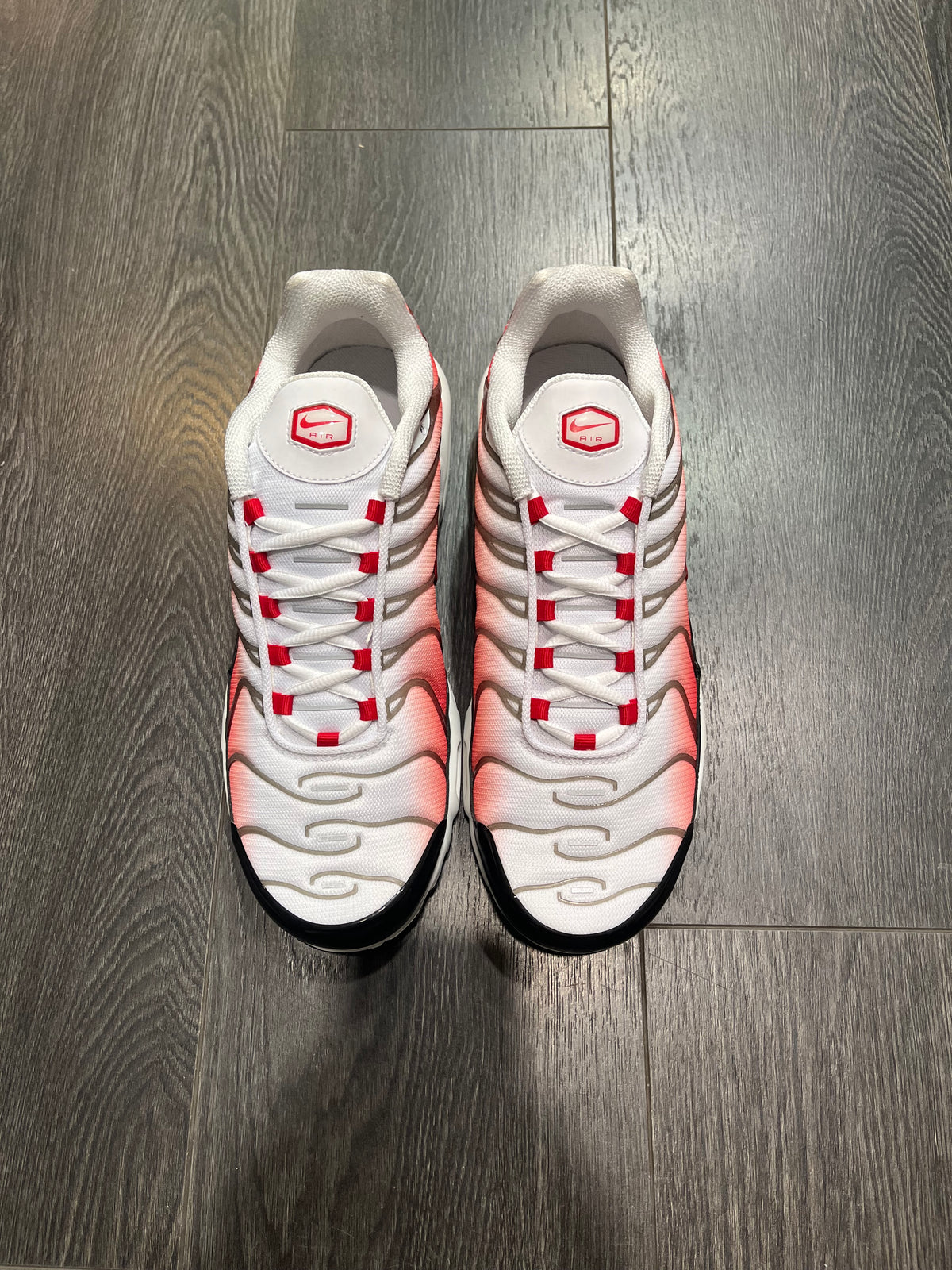 Nike Air Max Plus Gradient Red