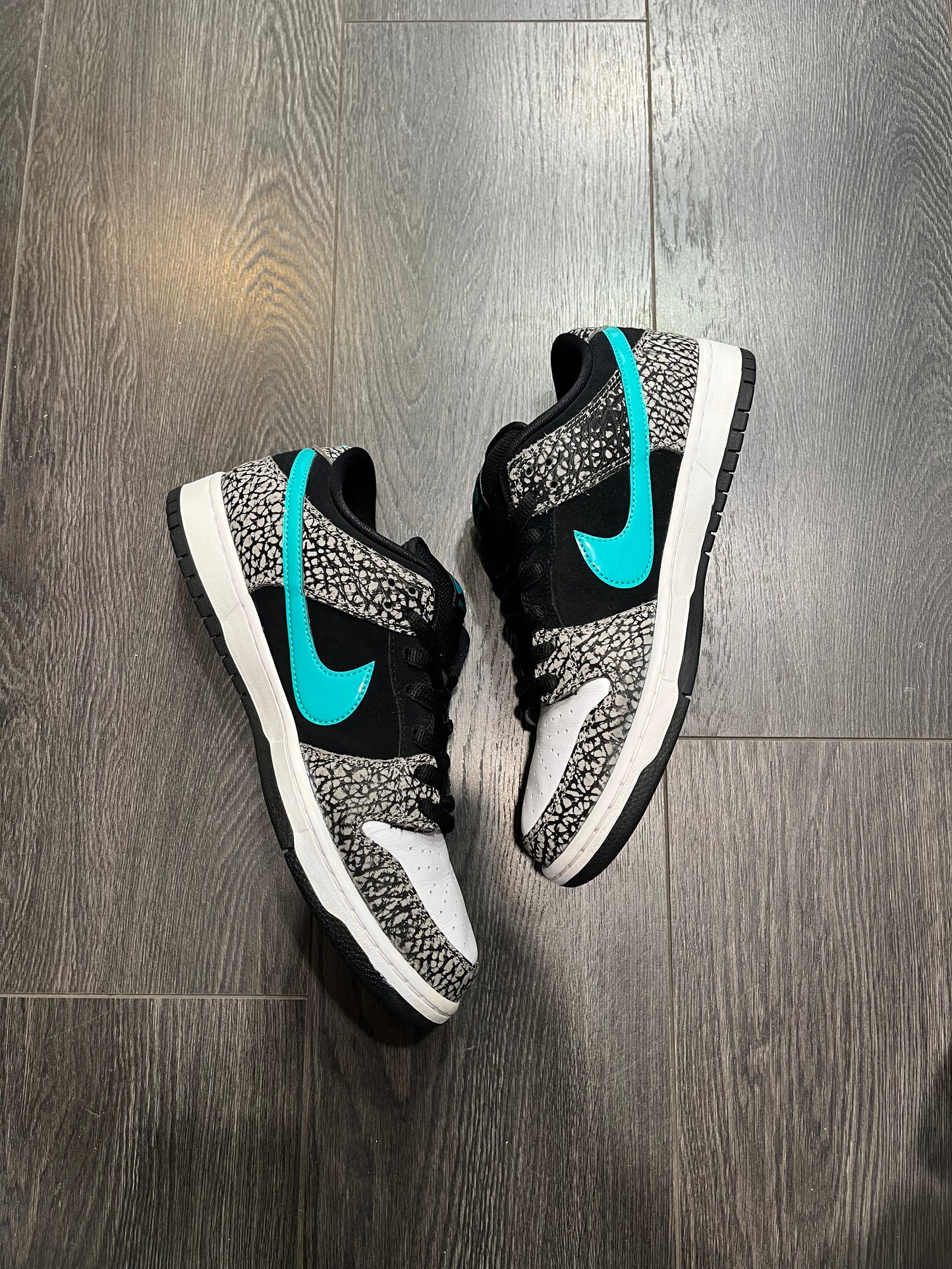 Nike Dunk SB Atmos Elephant