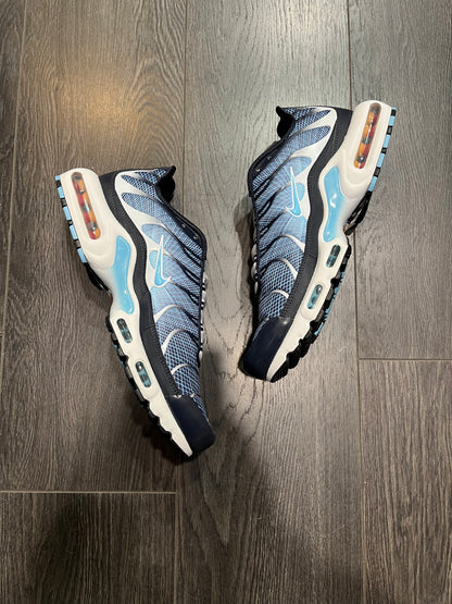 Nike Air Max Plus Dark Obsidienne