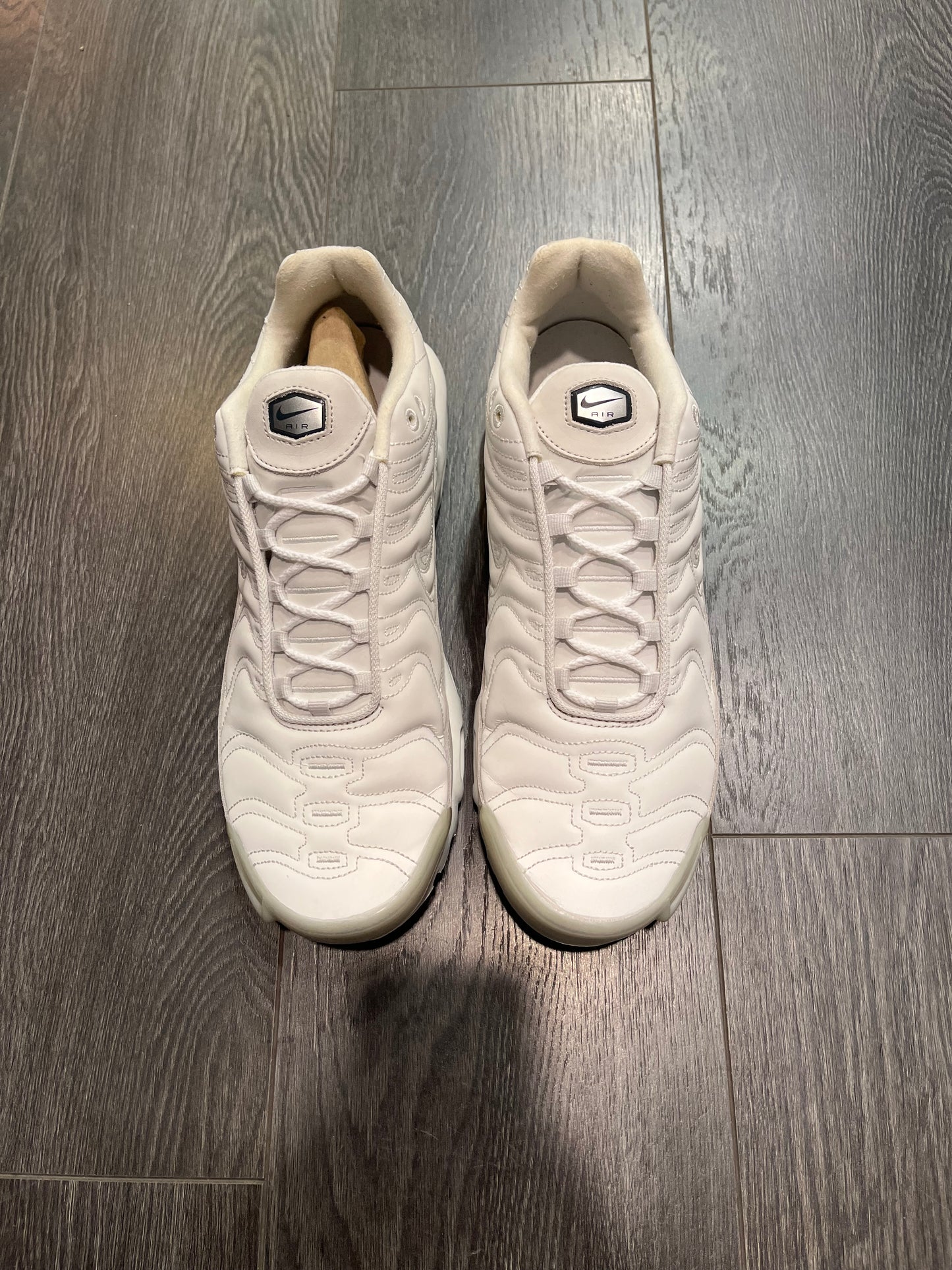 Nike Air Max Plus Platinum Tint