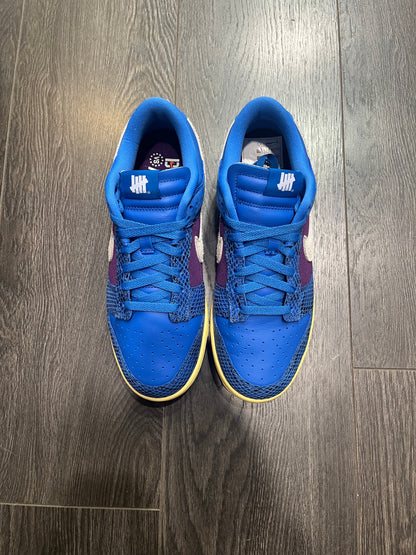 Nike Dunk Low Undefetead