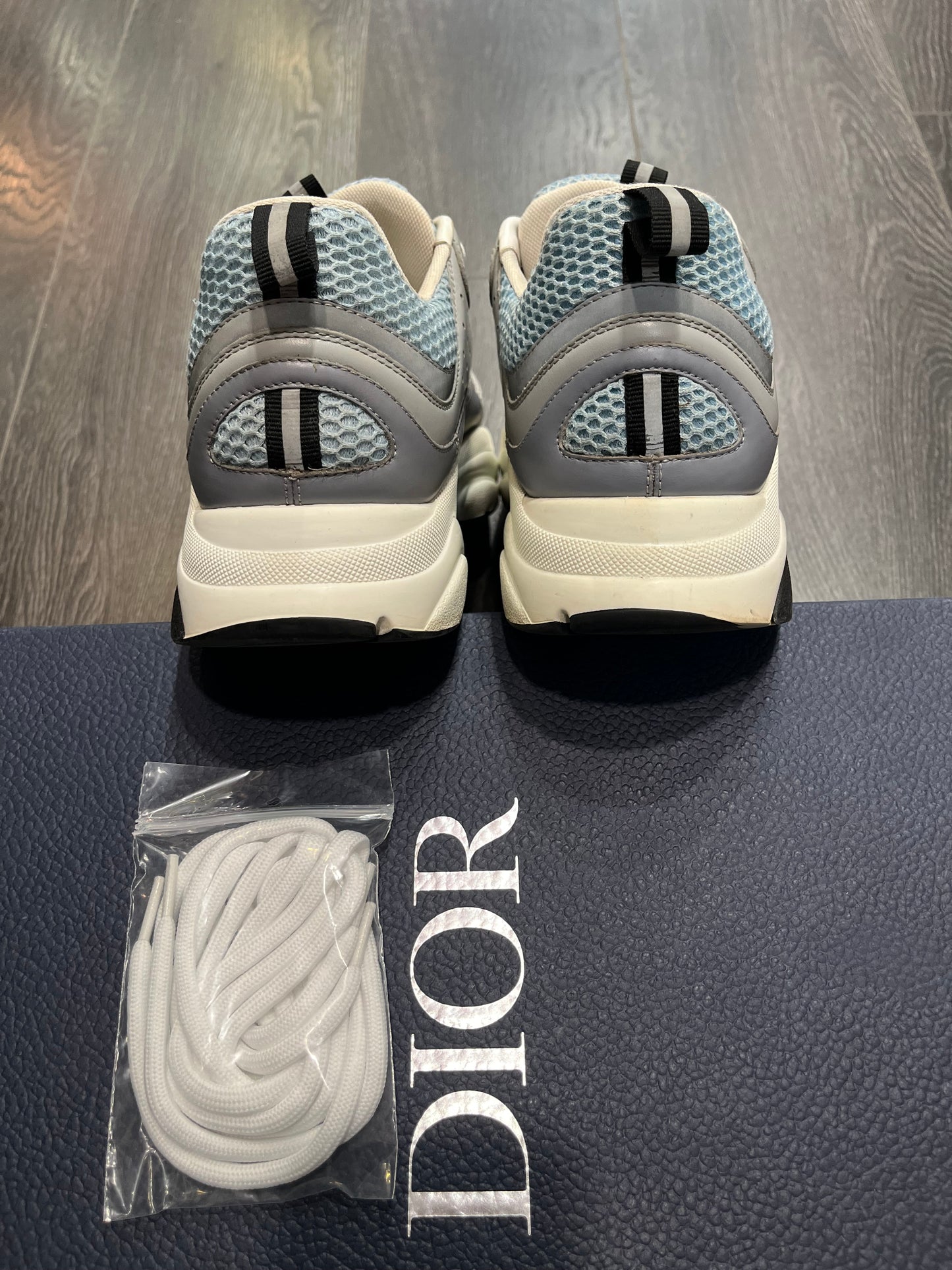 Dior B22 White Blue