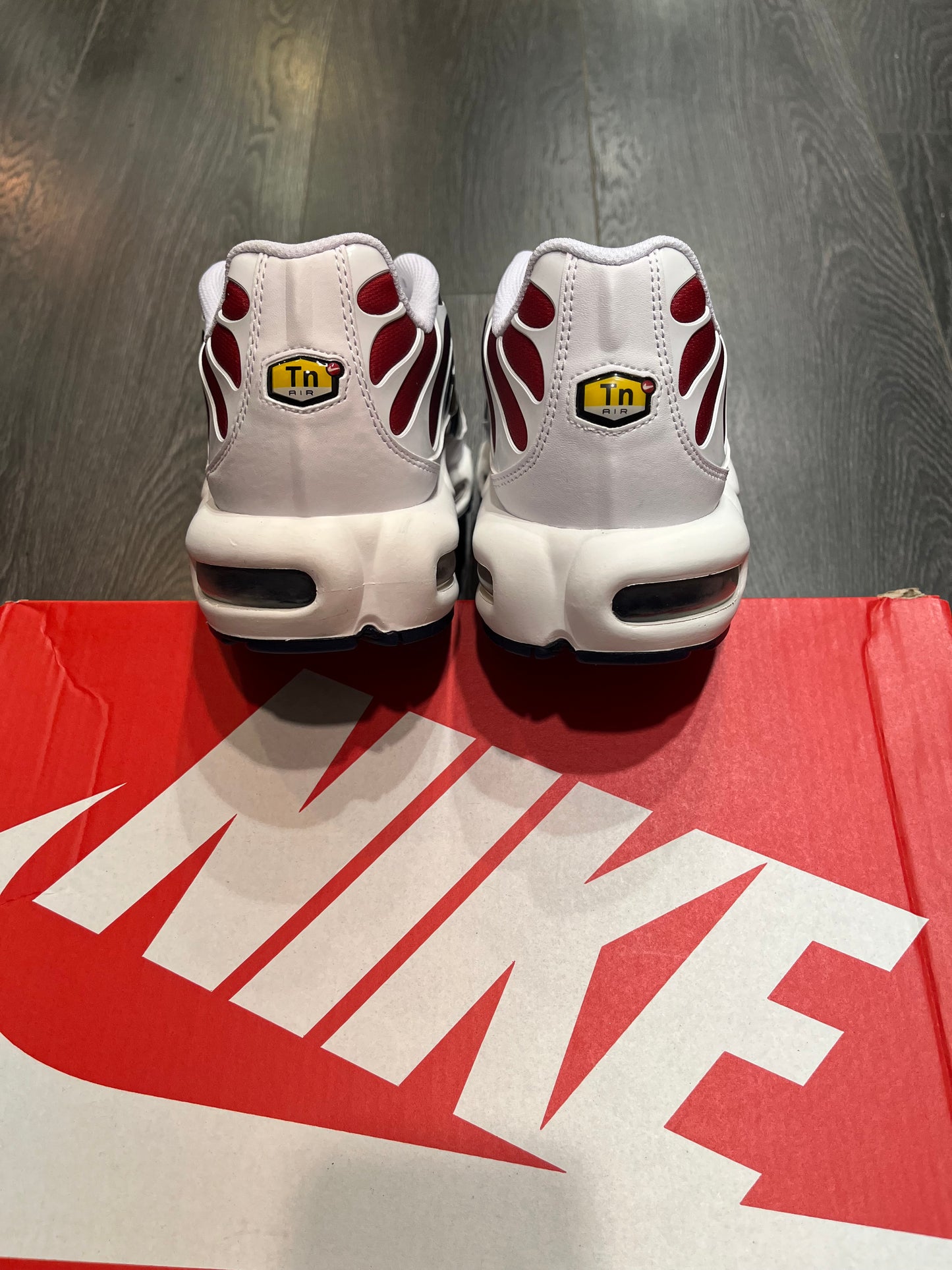 Nike Air Max Plus PSG