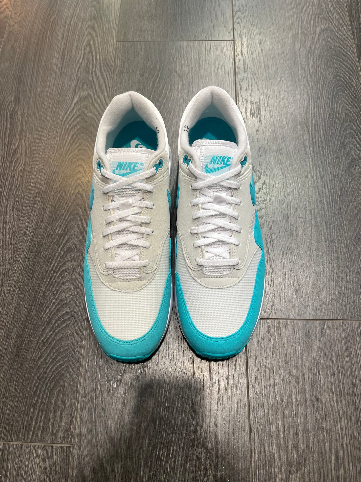 Nike Air Max 1 Aqua Golf