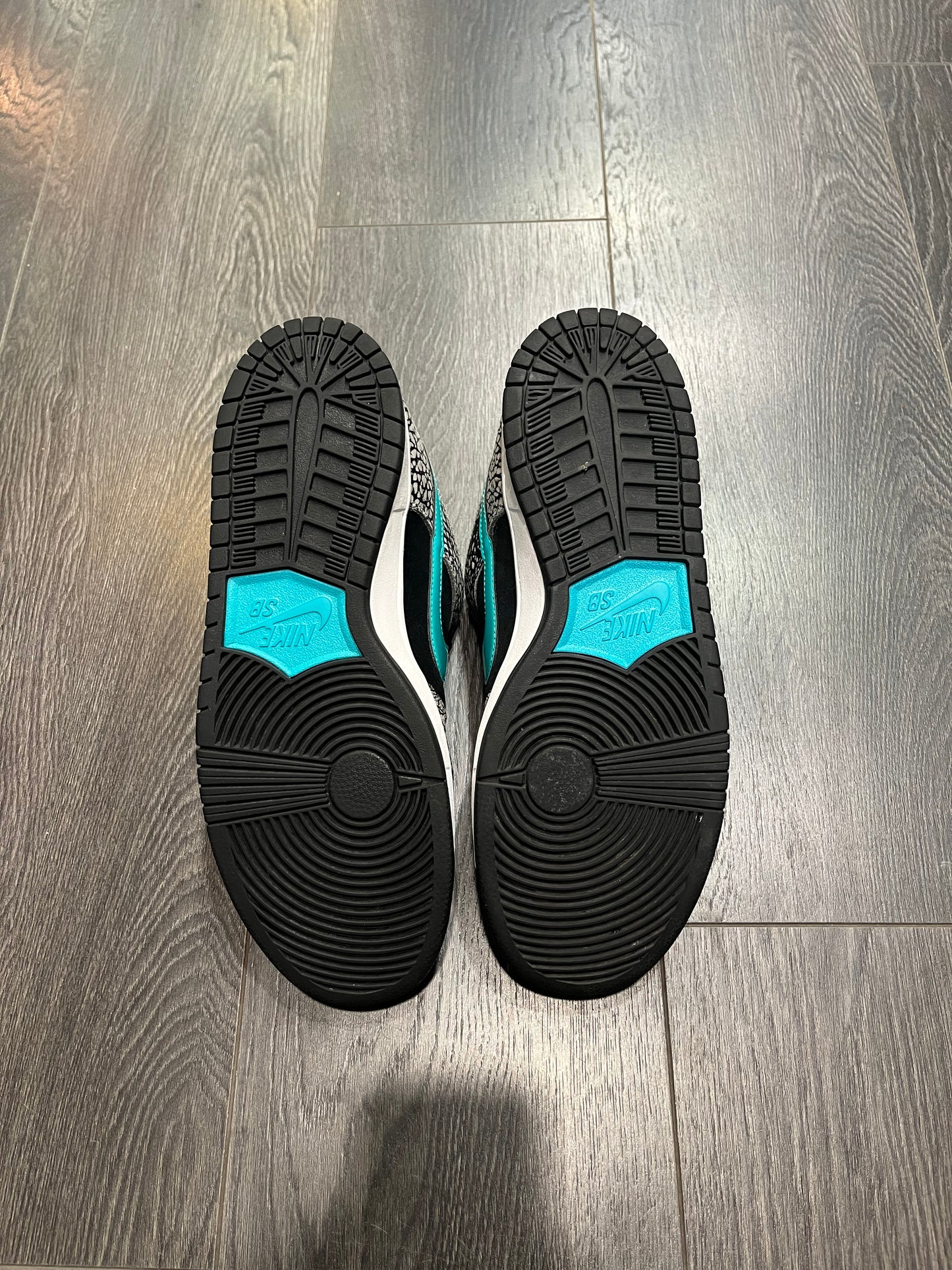 Nike Dunk SB Atmos Elephant