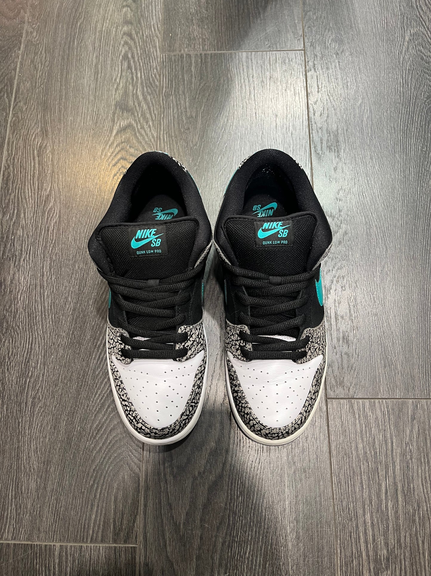 Nike Dunk SB Atmos Elephant