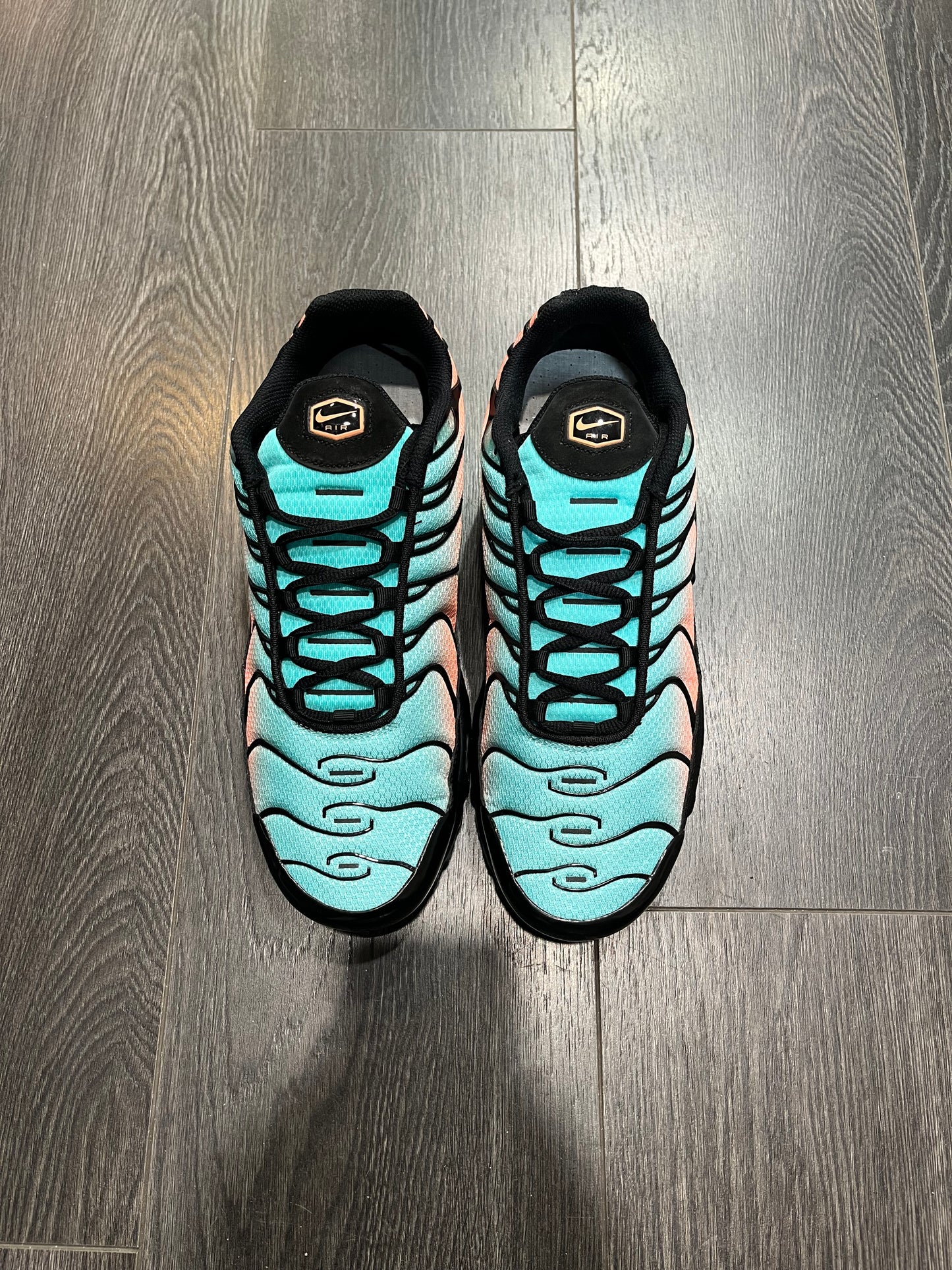 Nike Air Max Plus South Beach