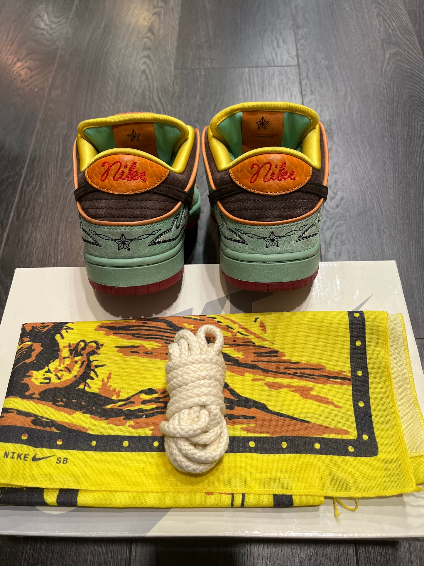 Nike Dunk Sb Tourmaline
