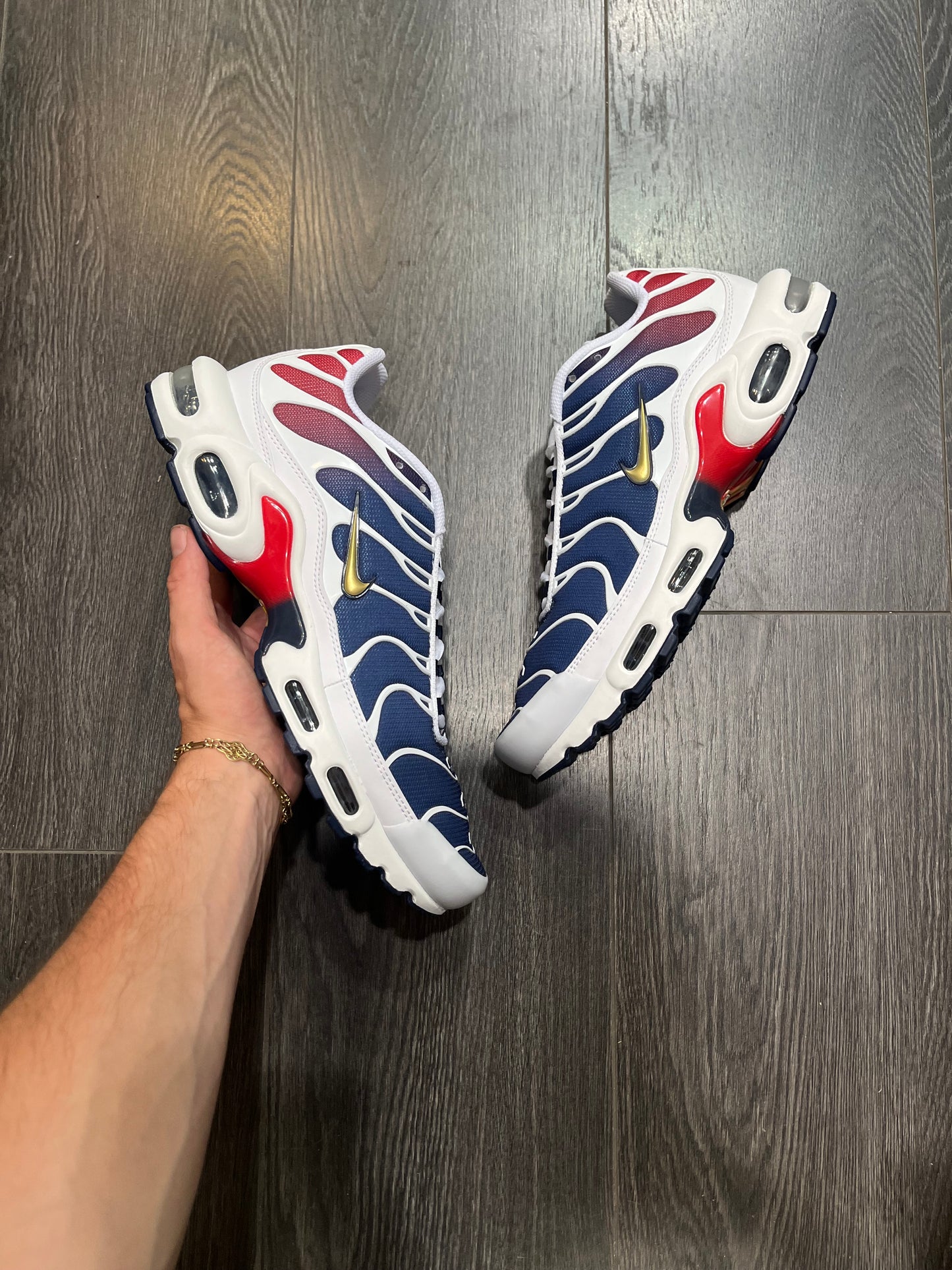 Nike Air Max Plus PSG