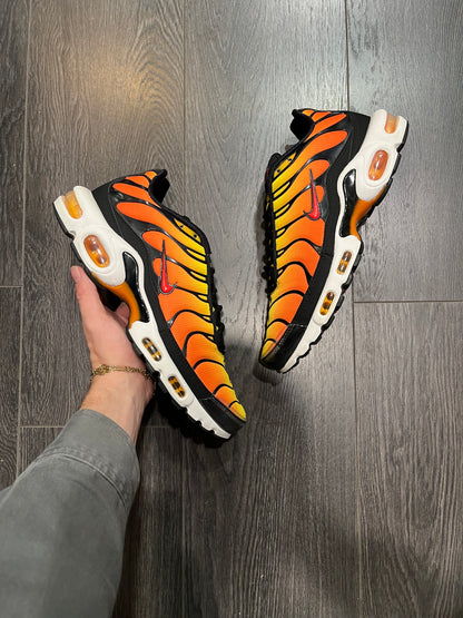 Nike Air Max Plus Sunset
