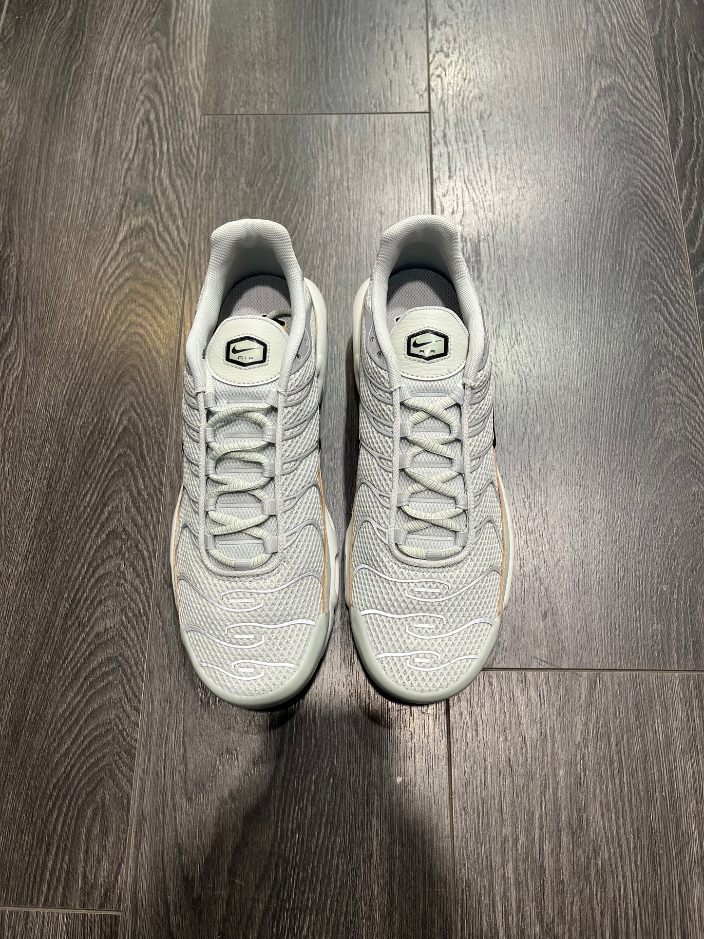 Nike Air Max Plus Light Silver