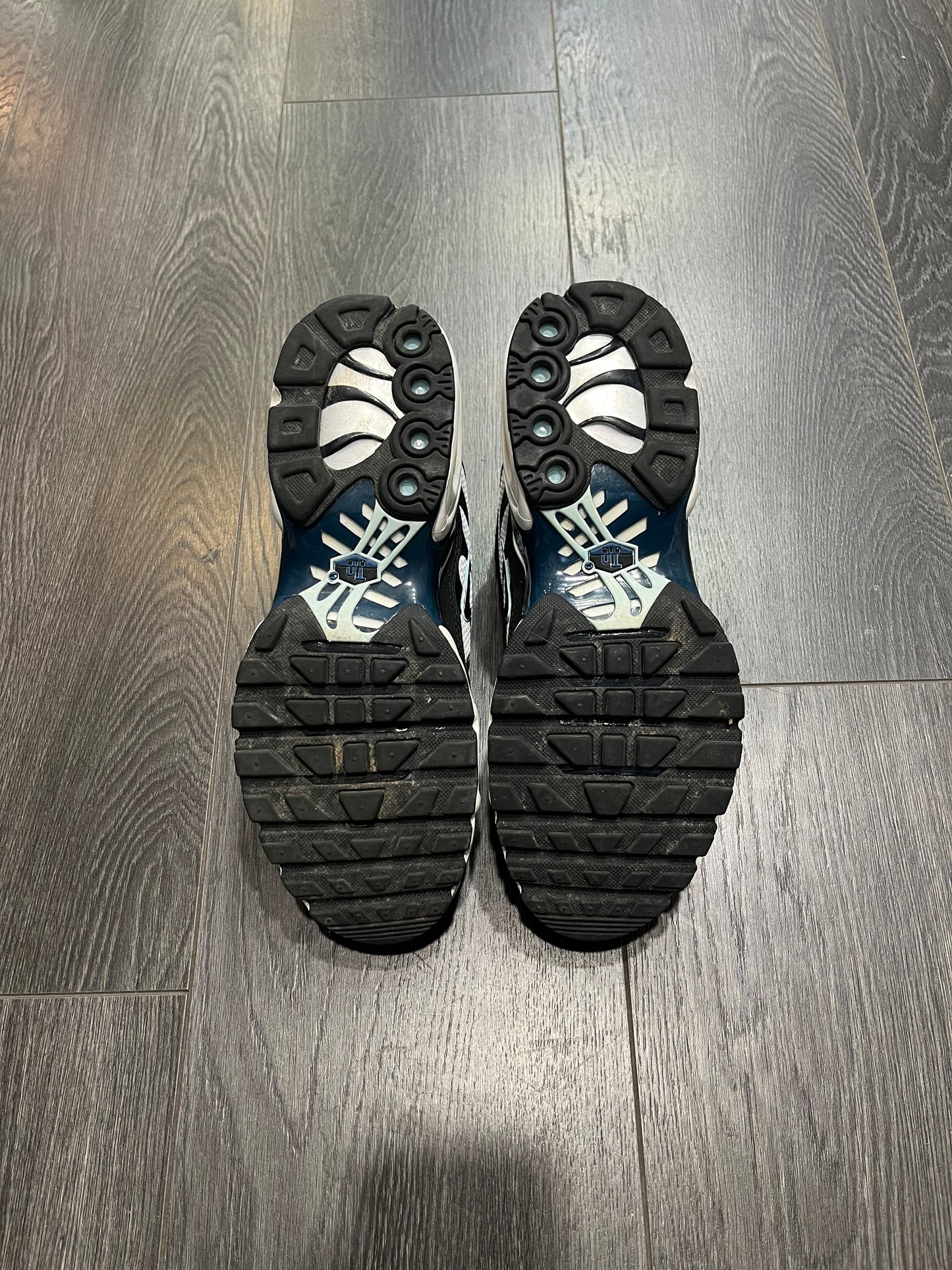 Nike Air Max Plus Teal White