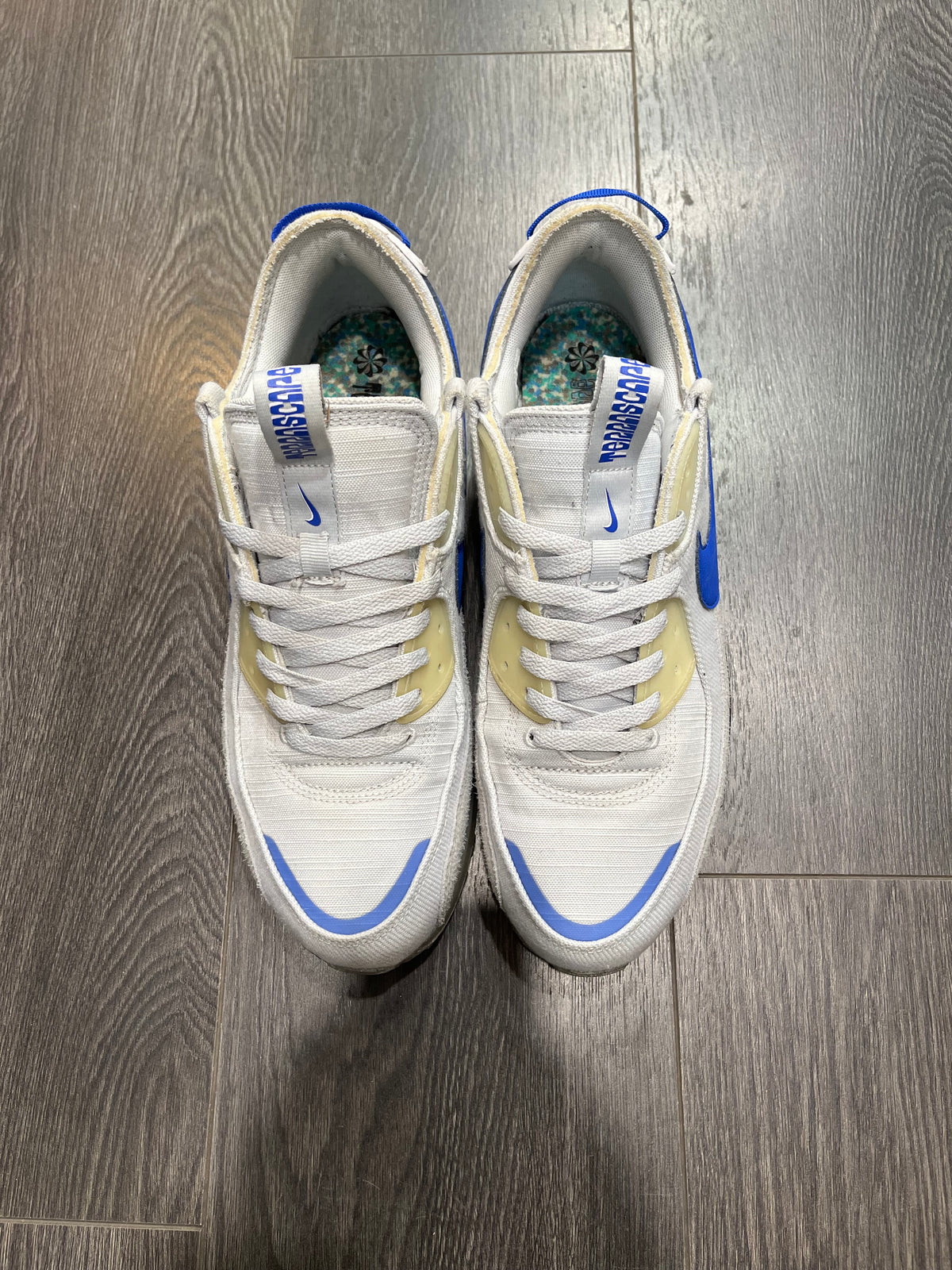 Nike Air Max 90 Terrascape Platinum