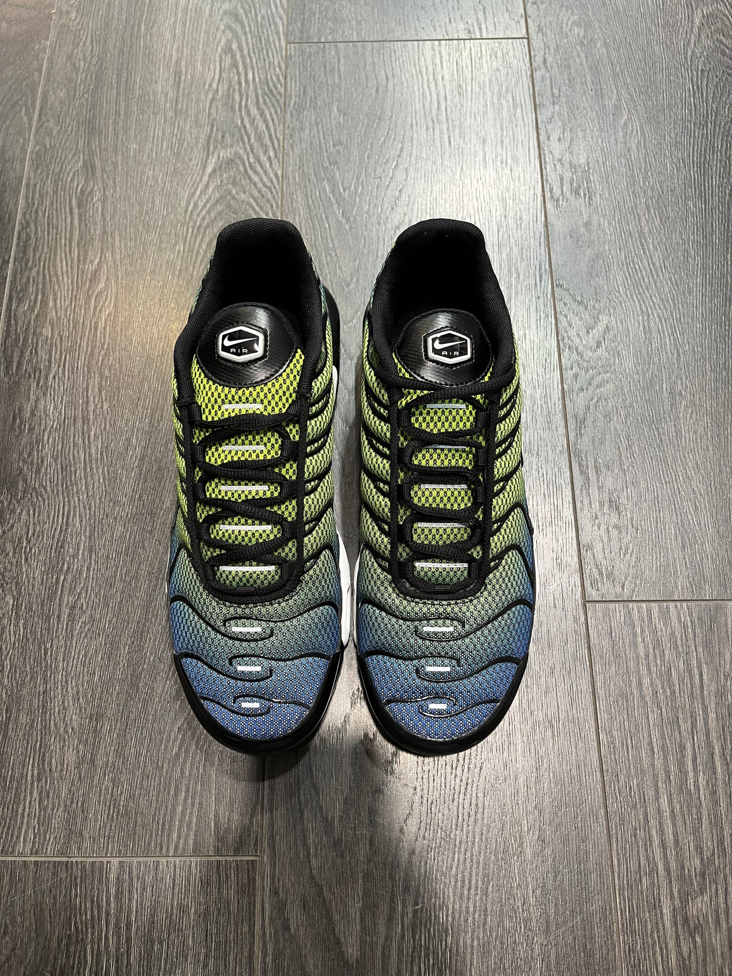 Nike Air Max Plus Blue Metallic Silver