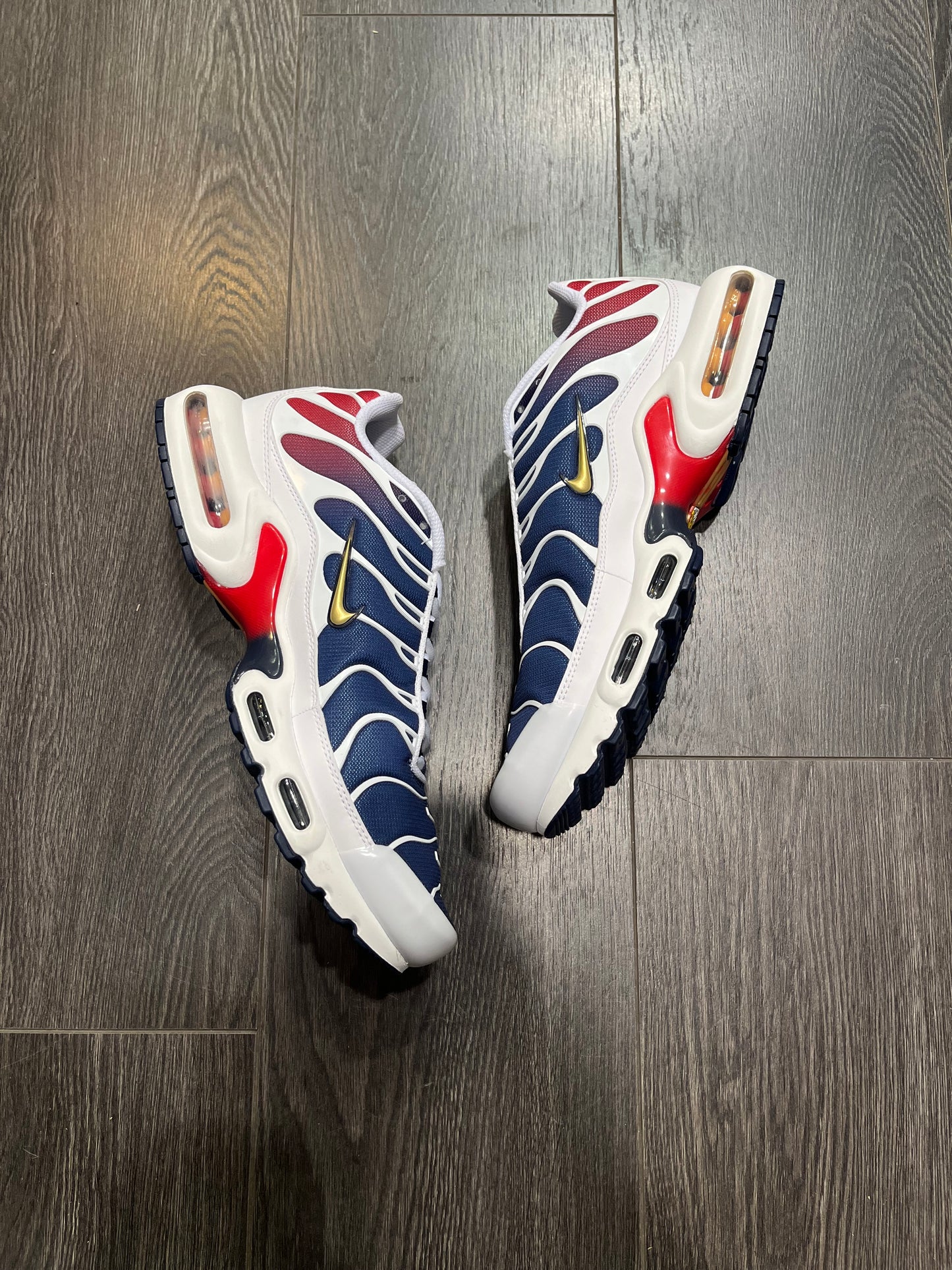 Nike Air Max Plus PSG