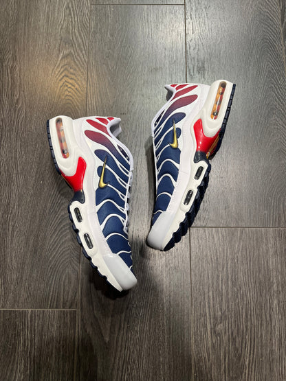 Nike Air Max Plus PSG