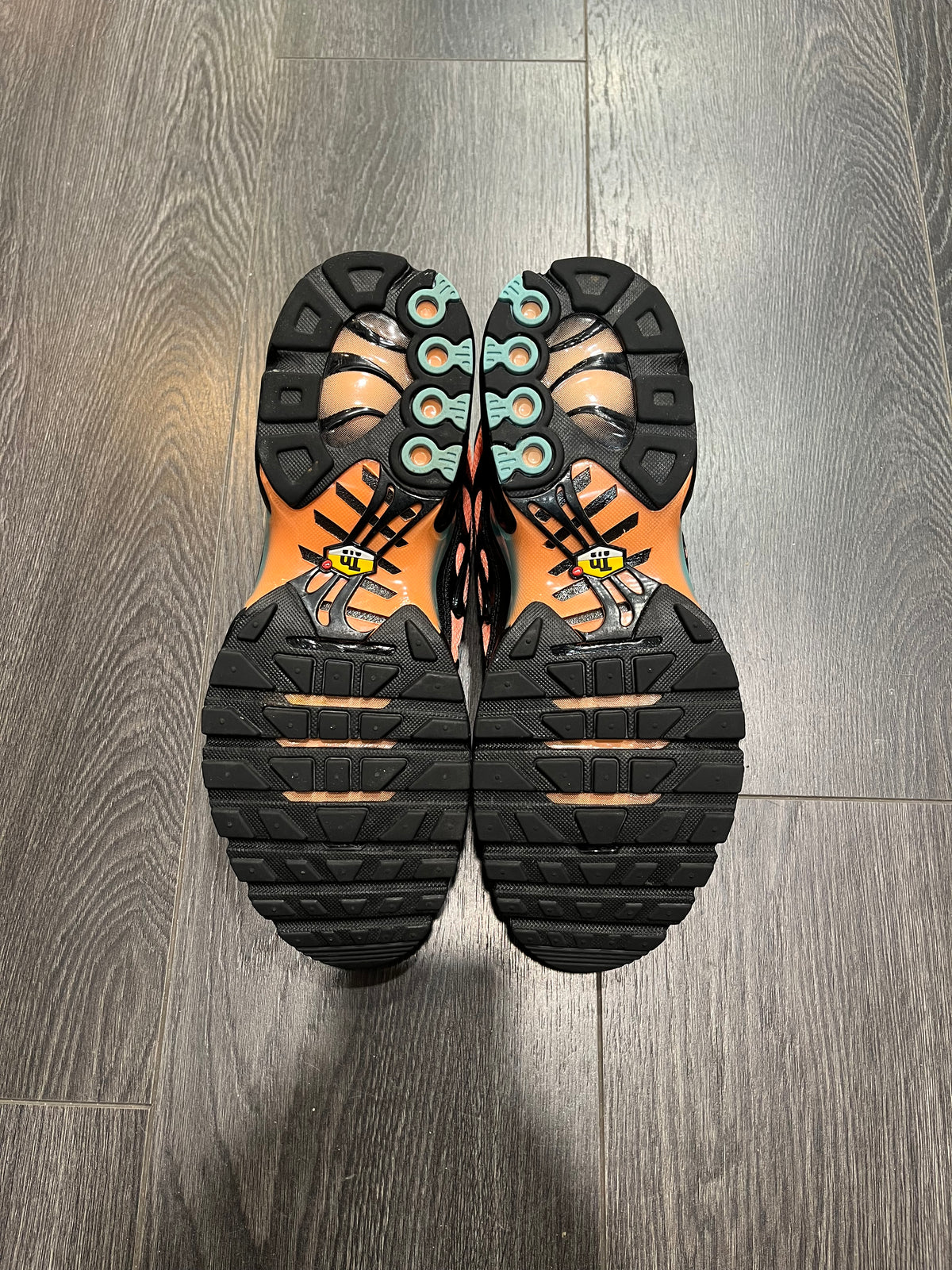Nike Air Max Plus South Beach