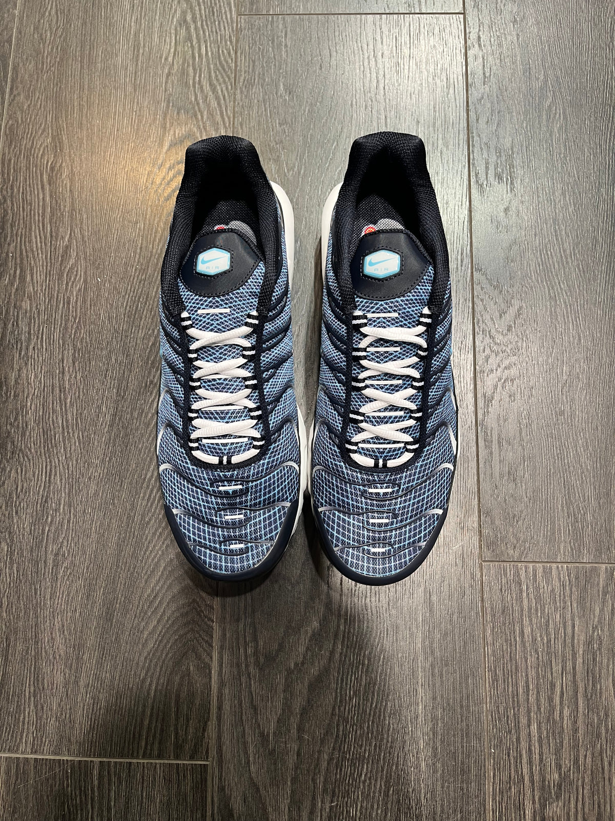 Nike Air Max Plus Dark Obsidienne