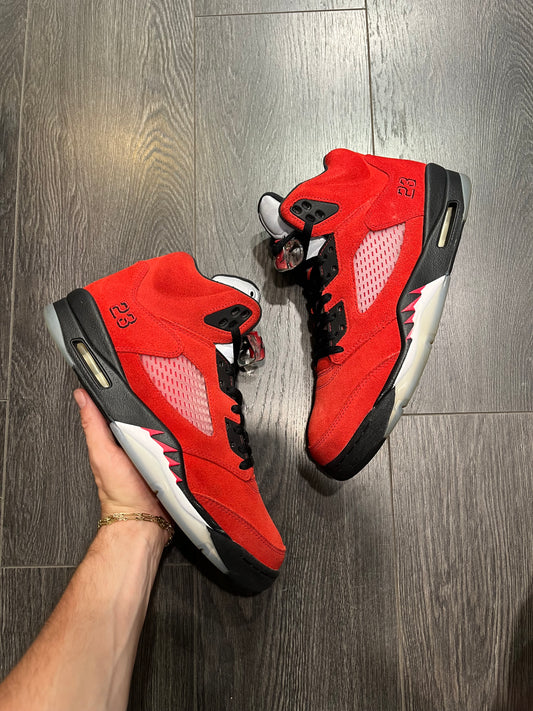 Air Jordan 5 Raging Bull