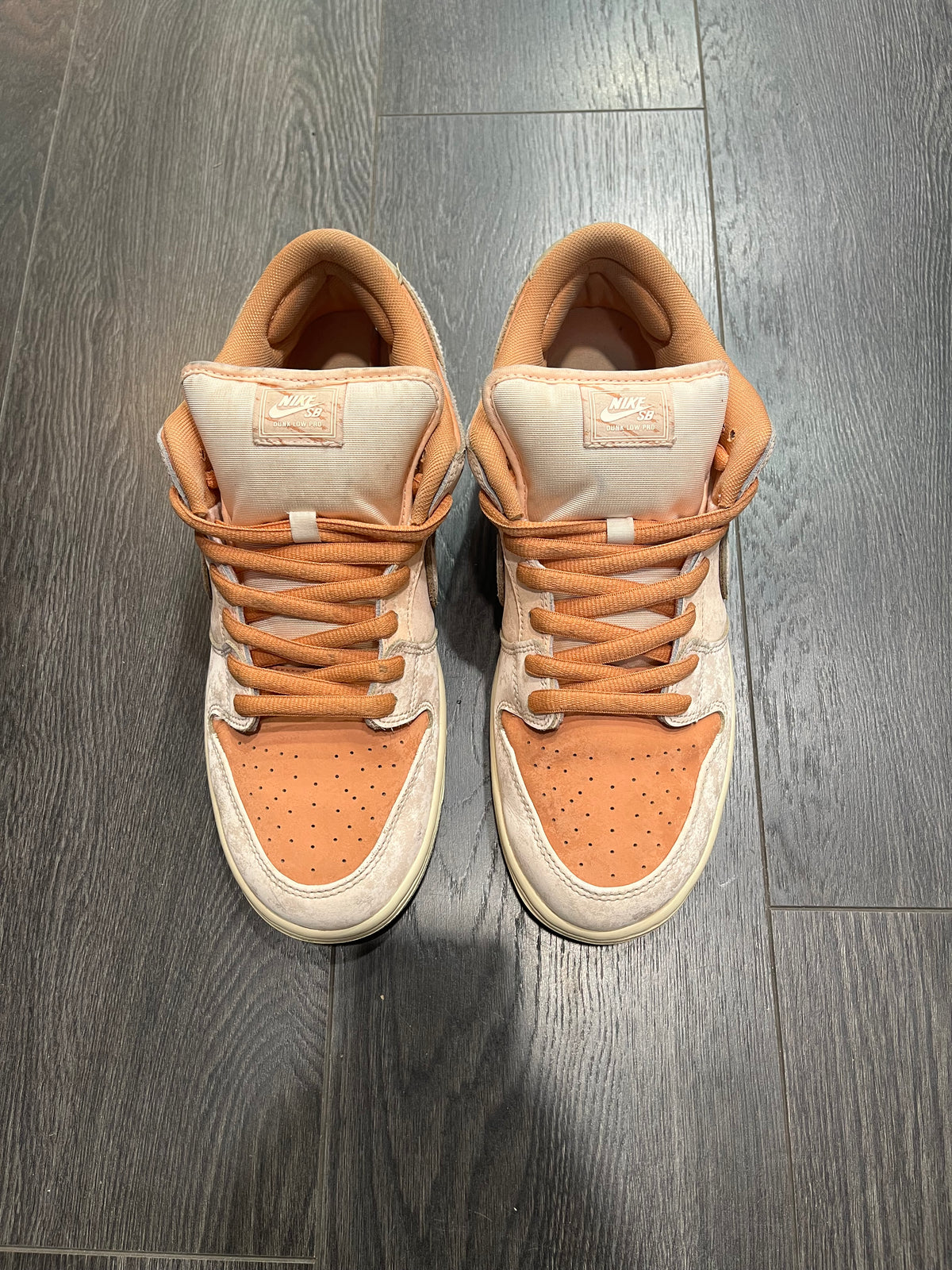 Nike Dunk SB Trocadero Garden
