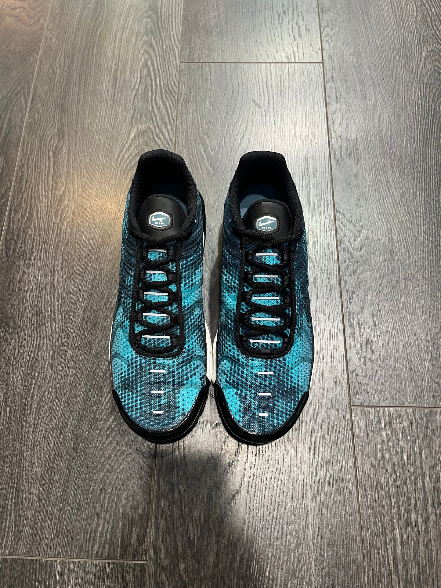 Nike Air Max Plus Photo Blue