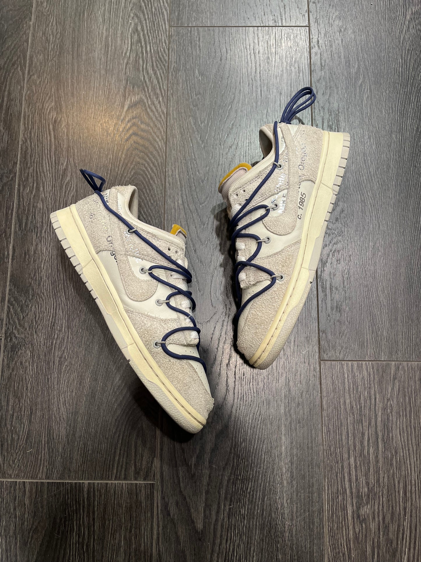 Nike Dunk Off White Lot 18