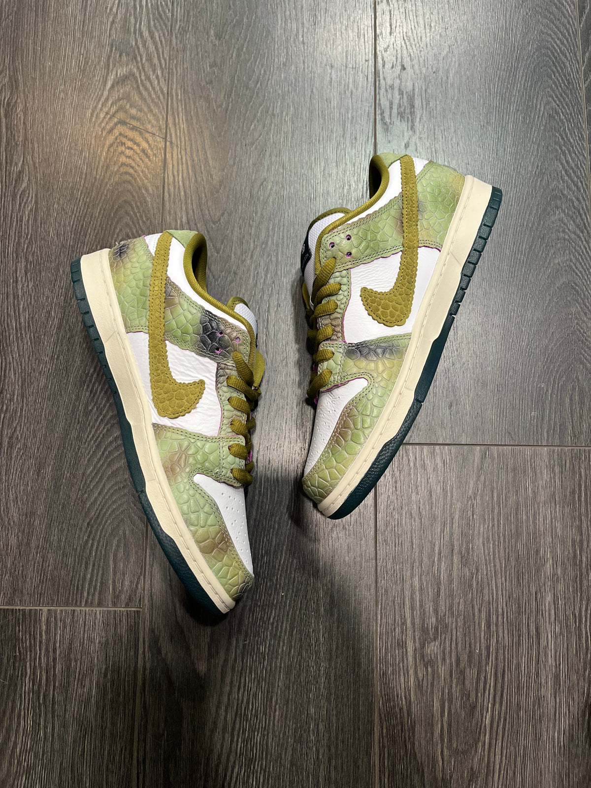 Nike Dunk SB Chameleon Alexis Sablone