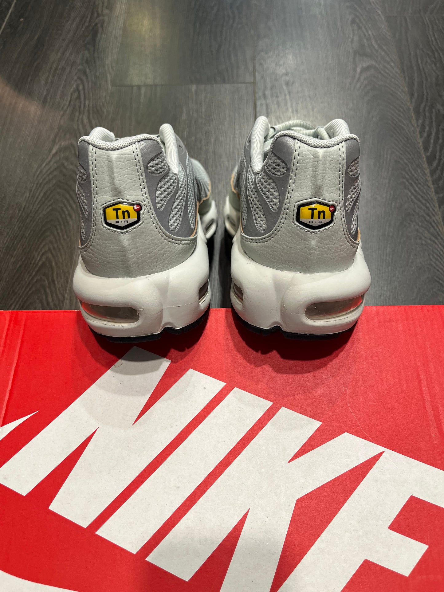 Nike Air Max Plus Light Silver