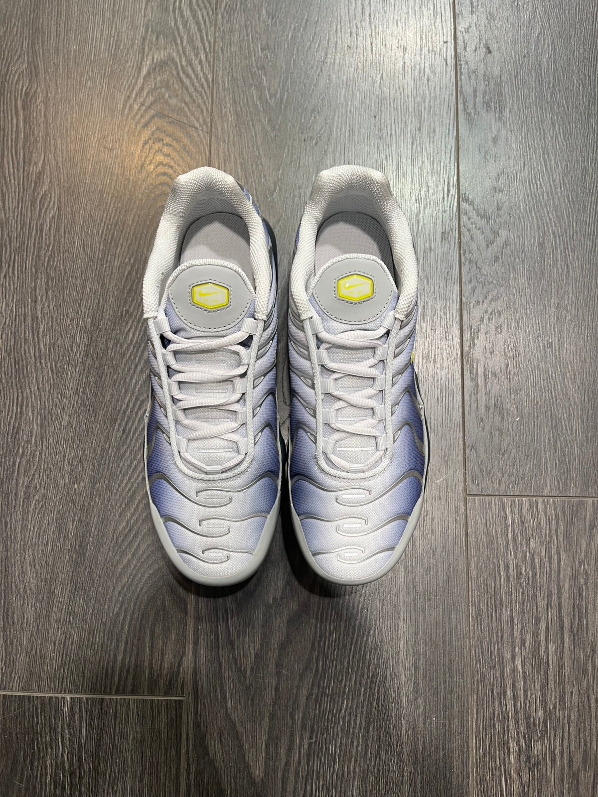 Nike Air Max Plus Obsidian Silver