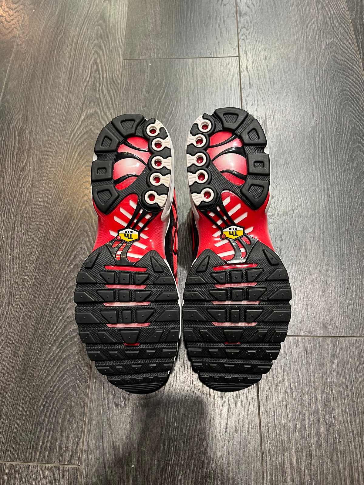 Nike Air Max Plus Gradient Red