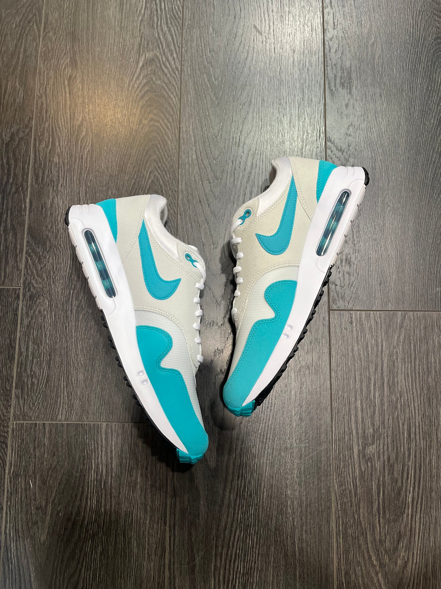 Nike Air Max 1 Aqua Golf